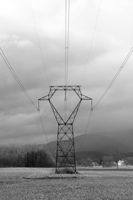 Symétrie assymétrique_4469630310_l.jpg